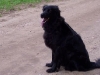 anny-macht-sitz anny-macht-sitz