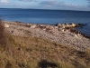 ostseeblick ostseeblick