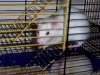 rattenkaefig rattenkaefig
